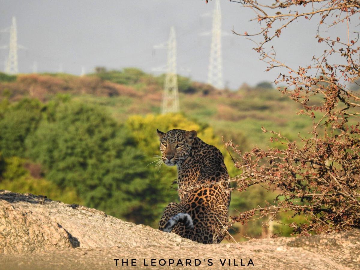 Jawai Leopard Villa Bijapur  Dış mekan fotoğraf