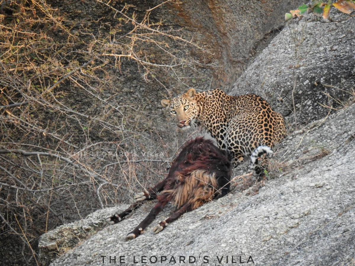 Jawai Leopard Villa Bijapur  Dış mekan fotoğraf