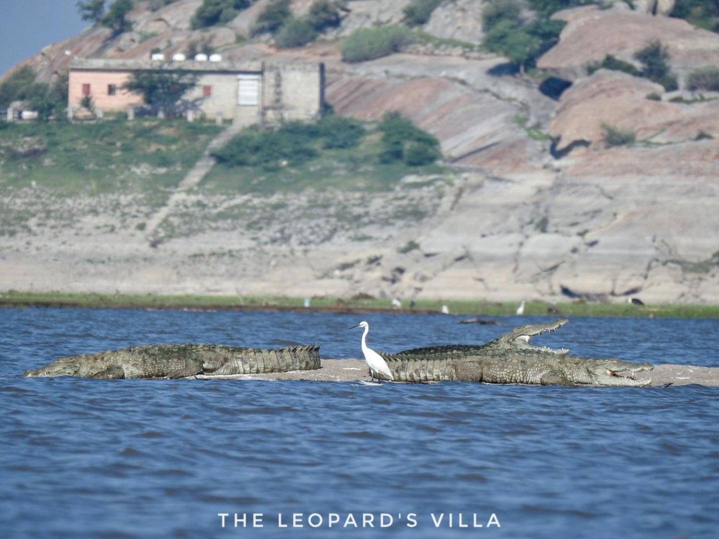 Jawai Leopard Villa Bijapur  Dış mekan fotoğraf