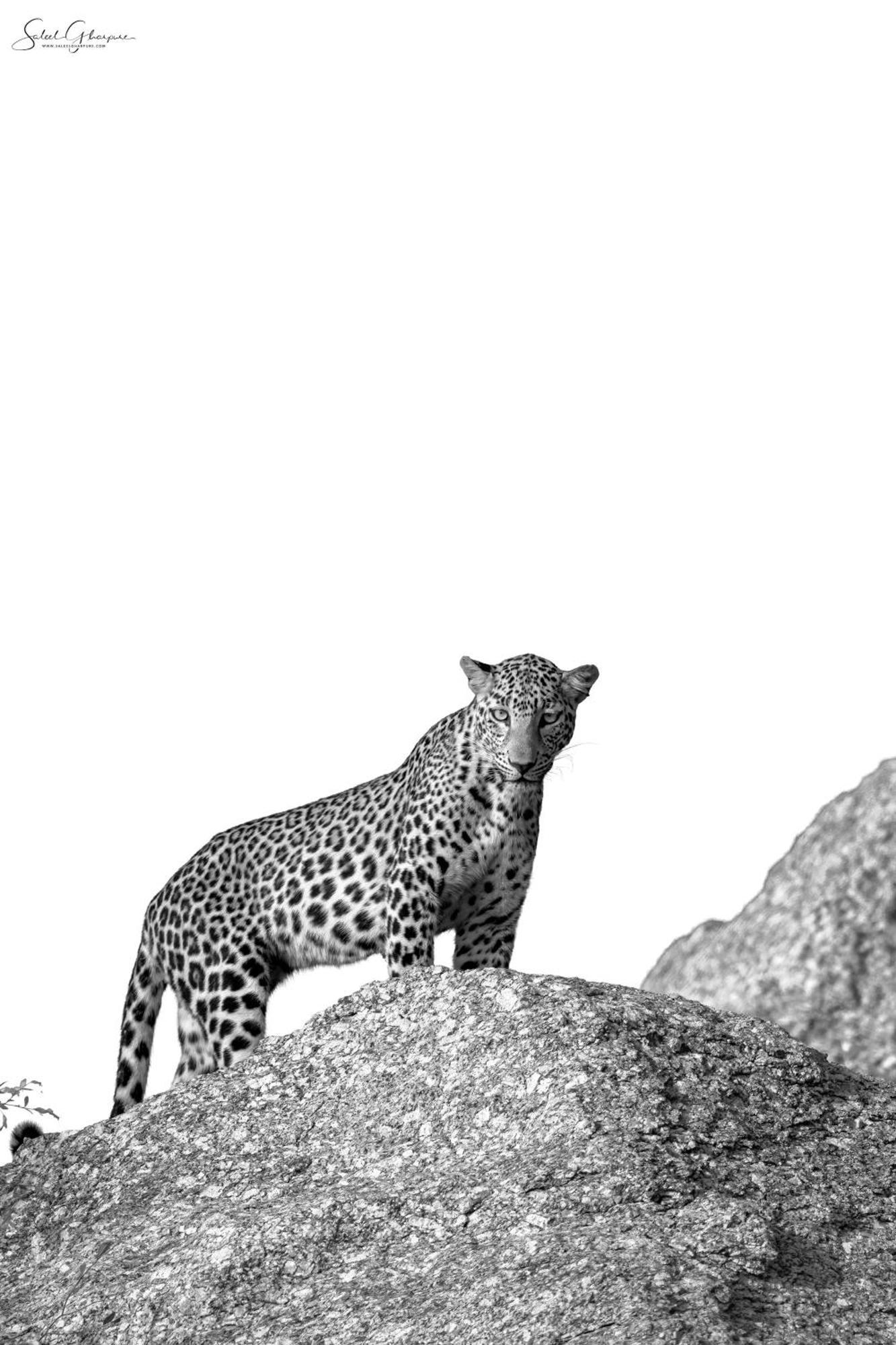 Jawai Leopard Villa Bijapur  Dış mekan fotoğraf