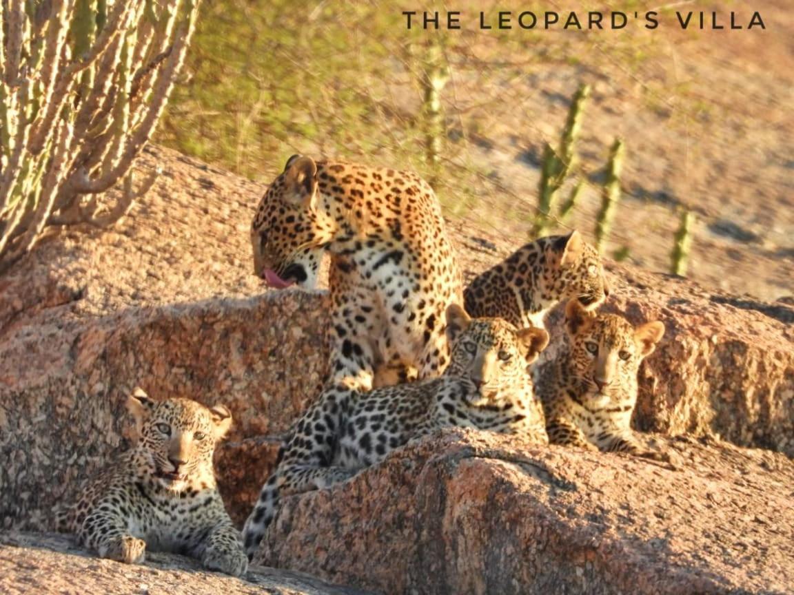 Jawai Leopard Villa Bijapur  Dış mekan fotoğraf