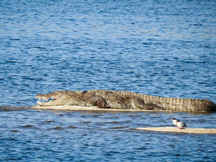 Jawai Leopard Villa Bijapur  Dış mekan fotoğraf